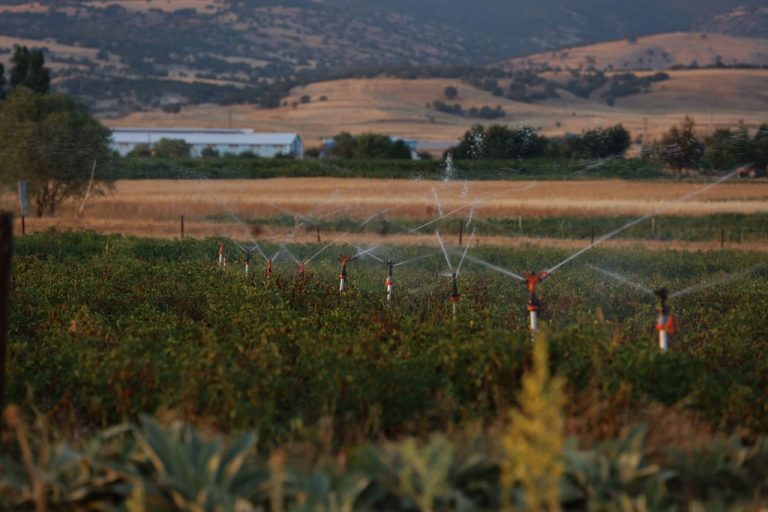 Tarım arazisinde sensör destekli damla sulama sistemi ve su ölçüm ekipmanları